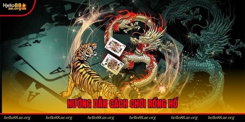 Hội viên cần nắm rõ cách chơi Rồng Hổ khi tham gia