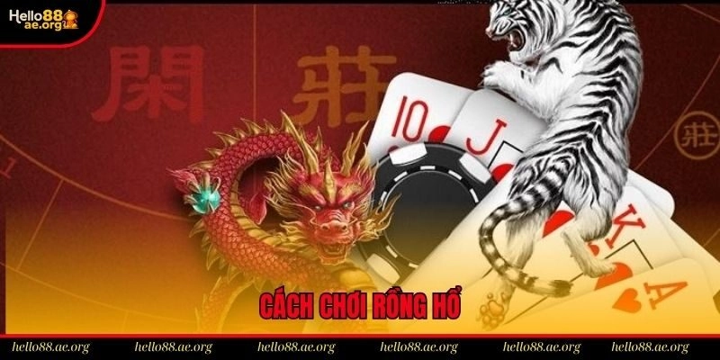 Cách Chơi Rồng Hổ